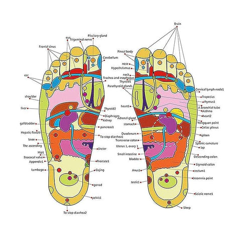 Acupressure Slippers – Wellness at Your Feet!